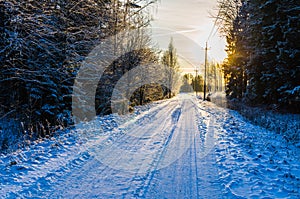 Snowy rural road by a wintry pine forest at sunset