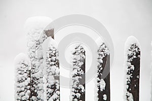 Snowy rustic fence on a white wintery background