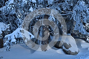 Snowy scenery of forests and hills in winter in High Tatras SlovakiaFrozen and snowy landscape in winter in High Tatras Slovakia