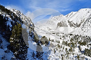 Snowy scenery of forests and hills in winter in High Tatras SlovakiaFrozen and snowy landscape in winter in High Tatras Slovakia