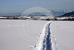Snowy shoe tracks