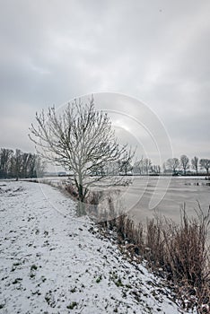 Snowy shore and a frozen lake