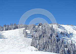 A snowy ski hill