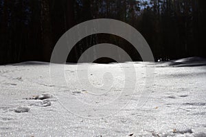 Snowy ski trails