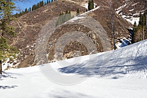 Snowy ski trails