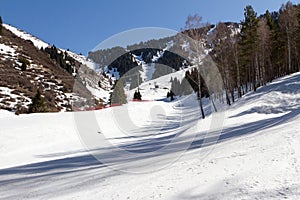 Snowy ski trails