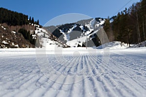 Snowy ski trails