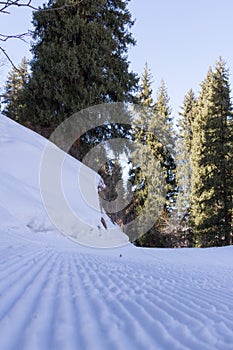 Snowy ski trails