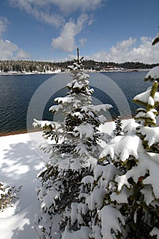 Snowy spring day at the Lake