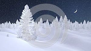 Snowy spruce forest at snowfall night