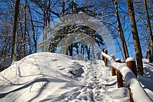 Snowy Stair Steps