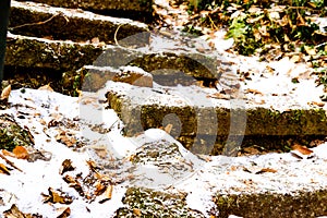 Snowy stairs by Hradistky Vrch near Konstantinovy Lazne