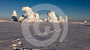 Snowy statues from trees covered with snow in the mountains