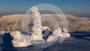 Snowy statues from trees covered with snow in the mountains