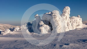 Snowy statues from trees covered with snow in the mountains