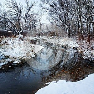 Snowy stream