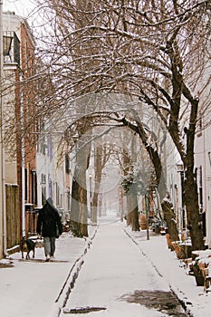 Snowy Street