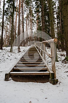 Snowy Summit Trail: Uphill Wooden Stairs in Tervetes Dabas Parks