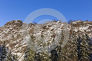 Snowy sunny Ticha Sarka in the Winter, Nature Reserve in Prague