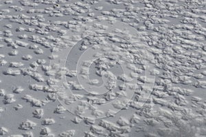 Snowy surface with a lot of duck tracks