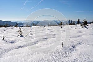 Snowy terrain at Silesian Beskid on european Bialy Krzyz in Poland