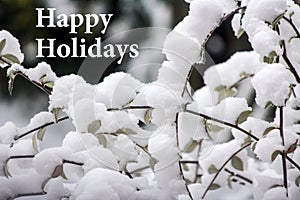 Snowy Time with Happy Holidays Text Message