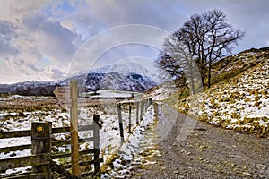 Snowy track and footpath sign