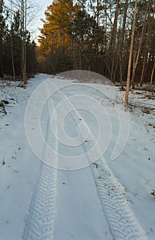 Snowy trail after the bomb cyclone