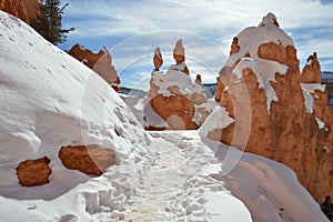 Snowy Trail in Bryce Canyon, Utah.