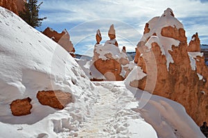 Snowy Trail in Bryce Canyon, Utah. photo