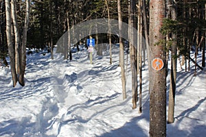A snowy trail in the forest after a record-breaking snowfall in Nova Scotia Canada, deep snow in the woods