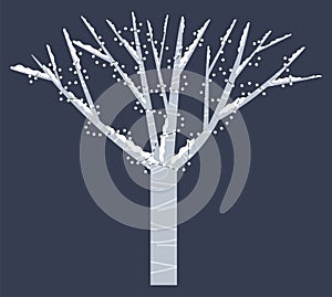 Snowy Tree with Garlands Isolated , Winter Time