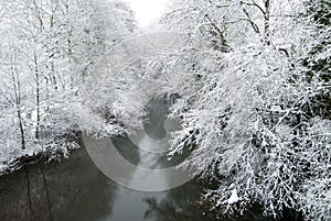 Snowy trees on the banks of the river Bayas in the Gorbeia Natural Park, Murgia, Alava, Spain photo