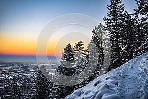 Snowy Trees in Sunset in Boulder, Colorado photo