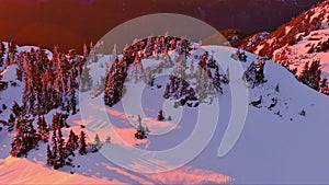 Snowy Trees and Mountain Scene, Pink Sunset. Colorful Winter Landscape. Aerial Cinematic