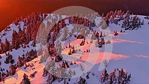 Snowy Trees and Mountain Scene, Pink Sunset. Colorful Winter Landscape. Aerial Cinematic