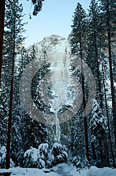 Snowy Trees Upper Lower Yosemite Falls