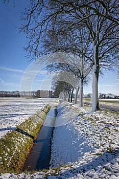 Snowy trees and a wintry landscape along the road towards the town of Coevorden