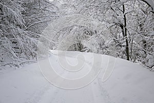 Snowy tunnel