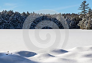 Snowy Turtle Lake Muskoka