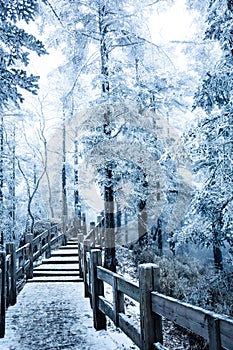 A snowy view of xiling snow muntain