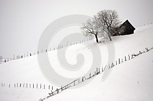 Snowy village