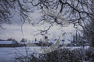 Snowy village through trees 2