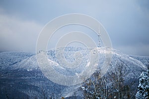 Snowy Vitosha mountain. Kopitoto hill can be seen on the right.