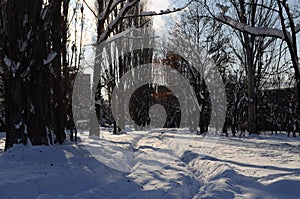 Snowy way in Abovyan city in winter