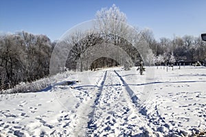 A snowy way. Winter background. A road in the trees. Amazing winter. A snowy trees, a car tracks, footsteps in snow