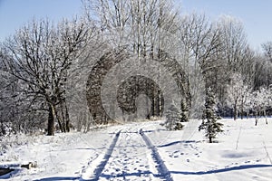 A snowy way. Winter background. A road in the trees. Amazing winter. A snowy trees, a car tracks, footsteps in snow