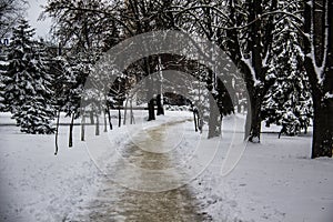 A snowy way. A road in the trees. Amazing winter in the dark day. A snowy trees, footsteps in snow