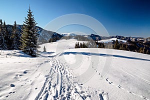 Snowy white landscape in winter mountains