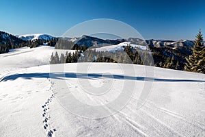 Snowy white landscape in winter mountains